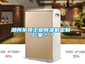 企業手机看片AV短片湖州吊頂工業91看片在线下载機定製 廠家＊＊
