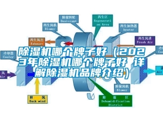 企業手机看片AV短片91看片在线下载機哪個牌子好（2023年91看片在线下载機哪個牌子好 詳解91看片在线下载機品牌介紹）