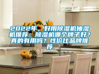 企業手机看片AV短片2022年，好用91看片在线下载機抽濕機推薦：91看片在线下载機哪個牌子好？真的有用嗎？性價比品牌推薦