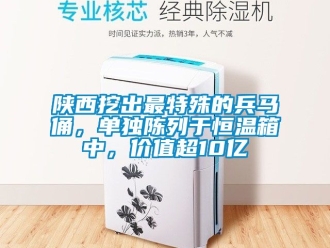 知識百科陝西挖出最特殊的兵馬俑，單獨陳列於恒溫箱中，價值超10億