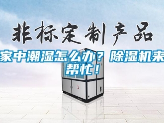 常見問題家中潮濕怎麽辦？91看片在线下载機來幫忙！