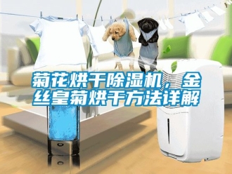 行業手机看片AV短片菊花烘幹91看片在线下载機，金絲皇菊烘幹方法詳解