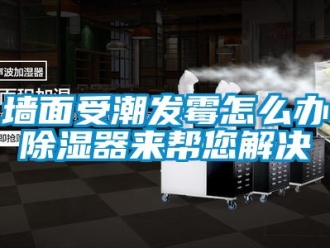 常見問題牆麵受潮發黴怎麽辦91看片在线下载器來幫您解決