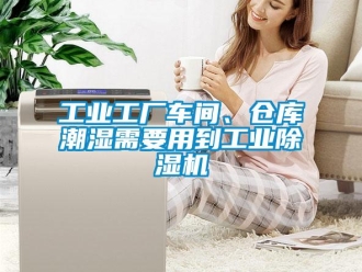 企業手机看片AV短片工業工廠車間、倉庫潮濕需要用到工業91看片在线下载機