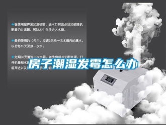 常見問題房子潮濕發黴怎麽辦