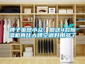 行業手机看片AV短片牌子雖然小眾，但這4款91看片在线下载機真比大牌空調好用多了
