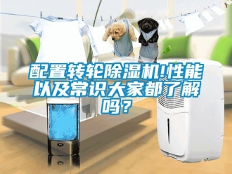 常見問題配置轉輪91看片在线下载機!性能以及常識大家都了解嗎？