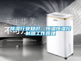 知識百科91看片在线下载行業知識：恒溫恒濕控製器工作原理
