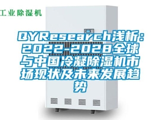 企業手机看片AV短片QYResearch淺析：2022-2028全球與中國冷凝91看片在线下载機市場現狀及未來發展趨勢