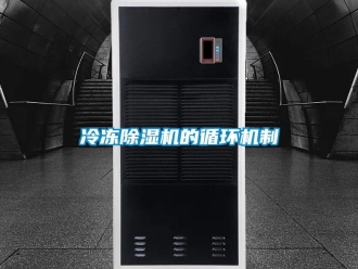 行業手机看片AV短片冷凍91看片在线下载機的循環機製