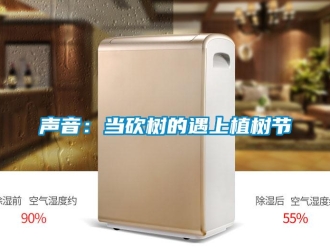 知識百科聲音：當砍樹的遇上植樹節