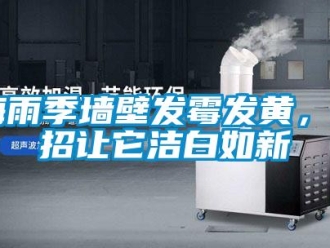 行業手机看片AV短片梅雨季牆壁發黴發黃，4招讓它潔白如新