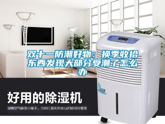 常見問題雙十一防潮好物：換季收拾東西發現大部分受潮了怎麽辦
