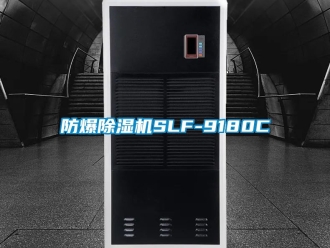 企業手机看片AV短片防爆91看片在线下载機SLF-9180C