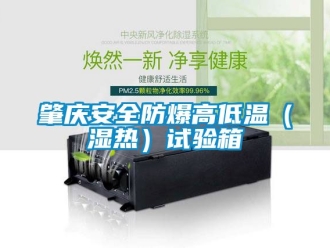 企業手机看片AV短片肇慶安全防爆高低溫（濕熱）試驗箱