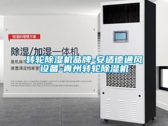 常見問題轉輪91看片在线下载機品牌-安適德通風設備-青州轉輪91看片在线下载機