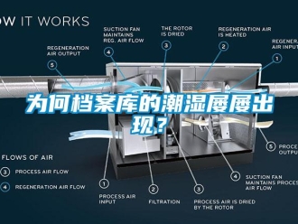 知識百科為何檔案庫的潮濕屢屢出現？