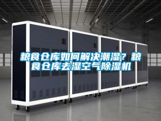 企業手机看片AV短片糧食倉庫如何解決潮濕？糧食倉庫去濕空氣91看片在线下载機