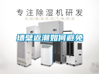 常見問題牆壁返潮如何避免