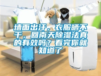 常見問題牆麵出汗，衣服曬不幹，回南天91看片在线下载法真的有效嗎？看完你就知道了