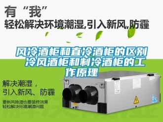 企業手机看片AV短片風冷酒櫃和直冷酒櫃的區別 冷風酒櫃和製冷酒櫃的工作原理