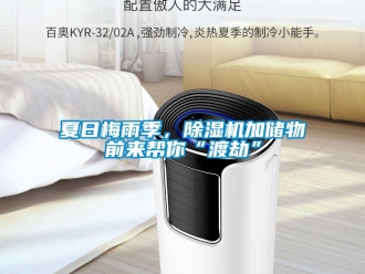知識百科夏日梅雨季，91看片在线下载機加儲物前來幫你“渡劫”