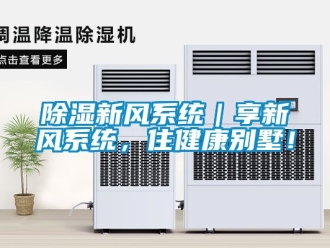 行業手机看片AV短片91看片在线下载新風係統｜享新風係統，住健康別墅！
