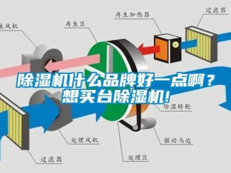 企業手机看片AV短片91看片在线下载機什麽品牌好一點啊？想買台91看片在线下载機!