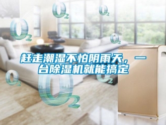企業手机看片AV短片趕走潮濕不怕陰雨天，一台91看片在线下载機就能搞定