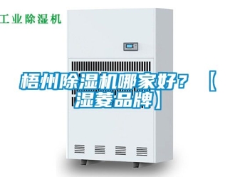 企業手机看片AV短片梧州91看片在线下载機哪家好？【濕菱品牌】