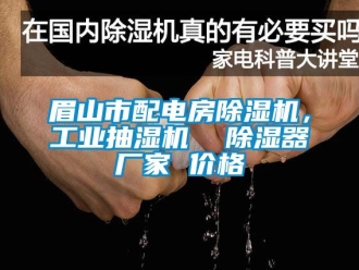 企業手机看片AV短片眉山市配電房91看片在线下载機，工業抽濕機  91看片在线下载器廠家 價格