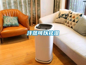 行業手机看片AV短片汗蒸可以祛濕