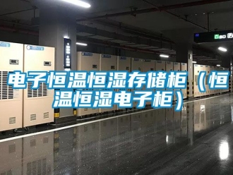 知識百科電子恒溫恒濕存儲櫃（恒溫恒濕電子櫃）