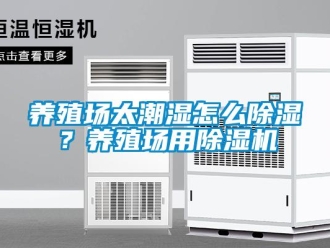 常見問題養殖場太潮濕怎麽91看片在线下载？養殖場用91看片在线下载機