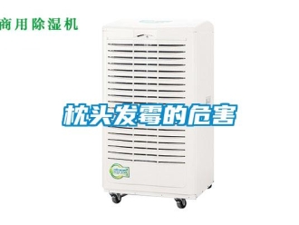 知識百科枕頭發黴的危害