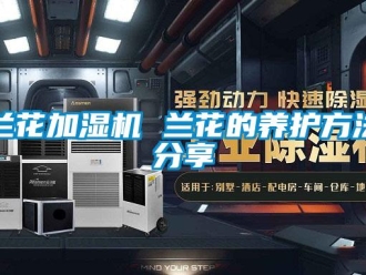 行業手机看片AV短片蘭花加濕機 蘭花的養護方法分享