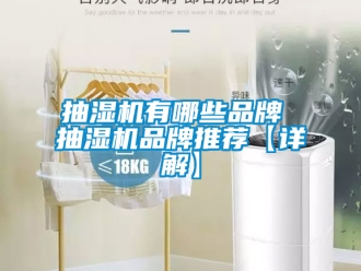 企業手机看片AV短片抽濕機有哪些品牌 抽濕機品牌推薦【詳解】
