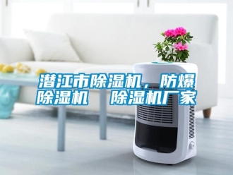 企業手机看片AV短片潛江市91看片在线下载機，防爆91看片在线下载機  91看片在线下载機廠家