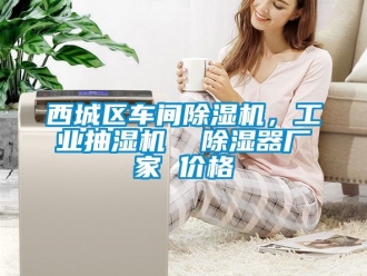企業手机看片AV短片西城區車間91看片在线下载機，工業抽濕機  91看片在线下载器廠家 價格