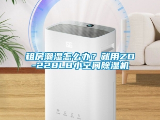 行業手机看片AV短片租房潮濕怎麽辦？就用ZD-228LB小空間91看片在线下载機