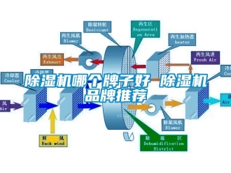 企業手机看片AV短片91看片在线下载機哪個牌子好 91看片在线下载機品牌推薦