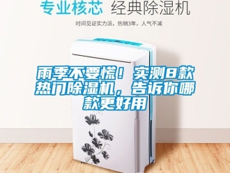 行業手机看片AV短片雨季不要慌！實測8款熱門91看片在线下载機，告訴你哪款更好用