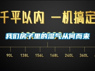 知識百科91免费看片APP房子裏的濕氣從何而來