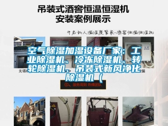 企業手机看片AV短片空氣91看片在线下载加濕設備廠家：工業91看片在线下载機、冷凍91看片在线下载機、轉輪91看片在线下载機、吊裝式新風淨化91看片在线下载機（