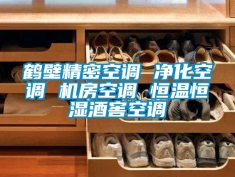 知識百科鶴壁精密空調 淨化空調 機房空調 恒溫恒濕酒窖空調