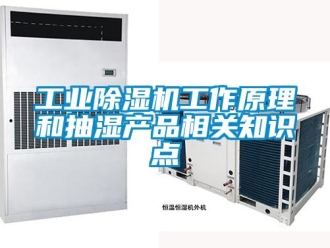 企業手机看片AV短片工業91看片在线下载機工作原理和抽濕產品相關知識點