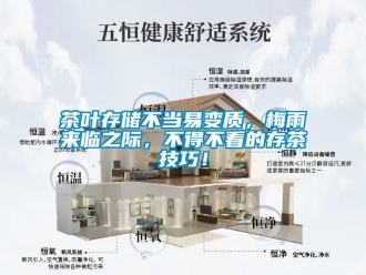 企業手机看片AV短片茶葉存儲不當易變質，梅雨來臨之際，不得不看的存茶技巧！