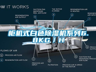 行業手机看片AV短片櫃機式白色91看片在线下载機係列6.8KG／H
