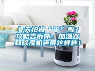 企業手机看片AV短片冬天怕被“幹”醒？攻略告訴你：加濕器和91看片在线下载機還得這樣選！