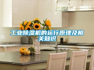 企業手机看片AV短片工業91看片在线下载機的運行原理及相關知識